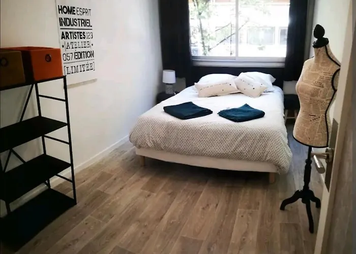 Gare Superbe T3 Secteur Gare - Elisabeth Apartment Clermont-Ferrand